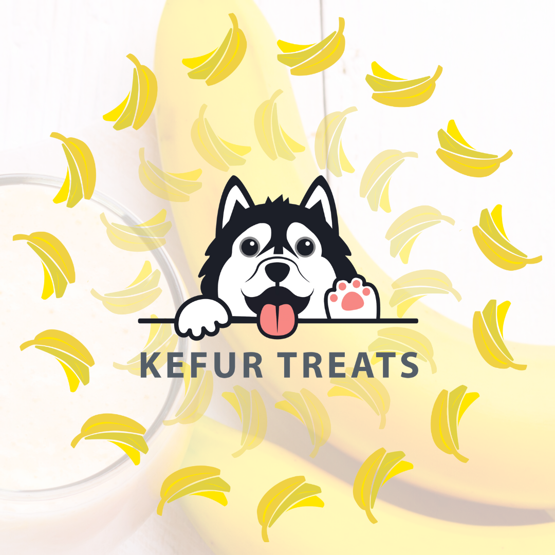 Kefir discount dog treats