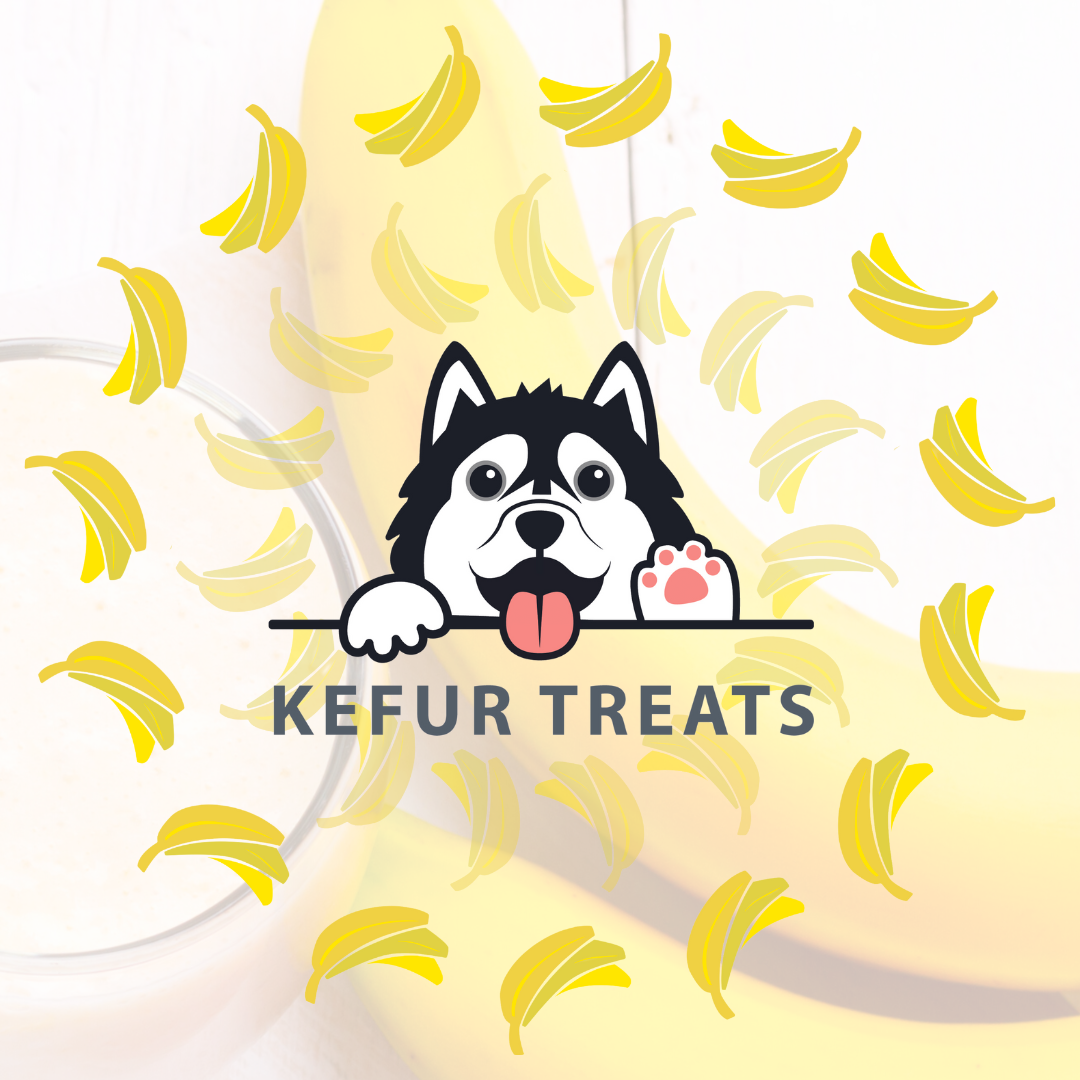 Kefur Treats - BANANA Goat Milk Kefir Frozen Pack (24 Cubes) Treats for Dogs & Cats