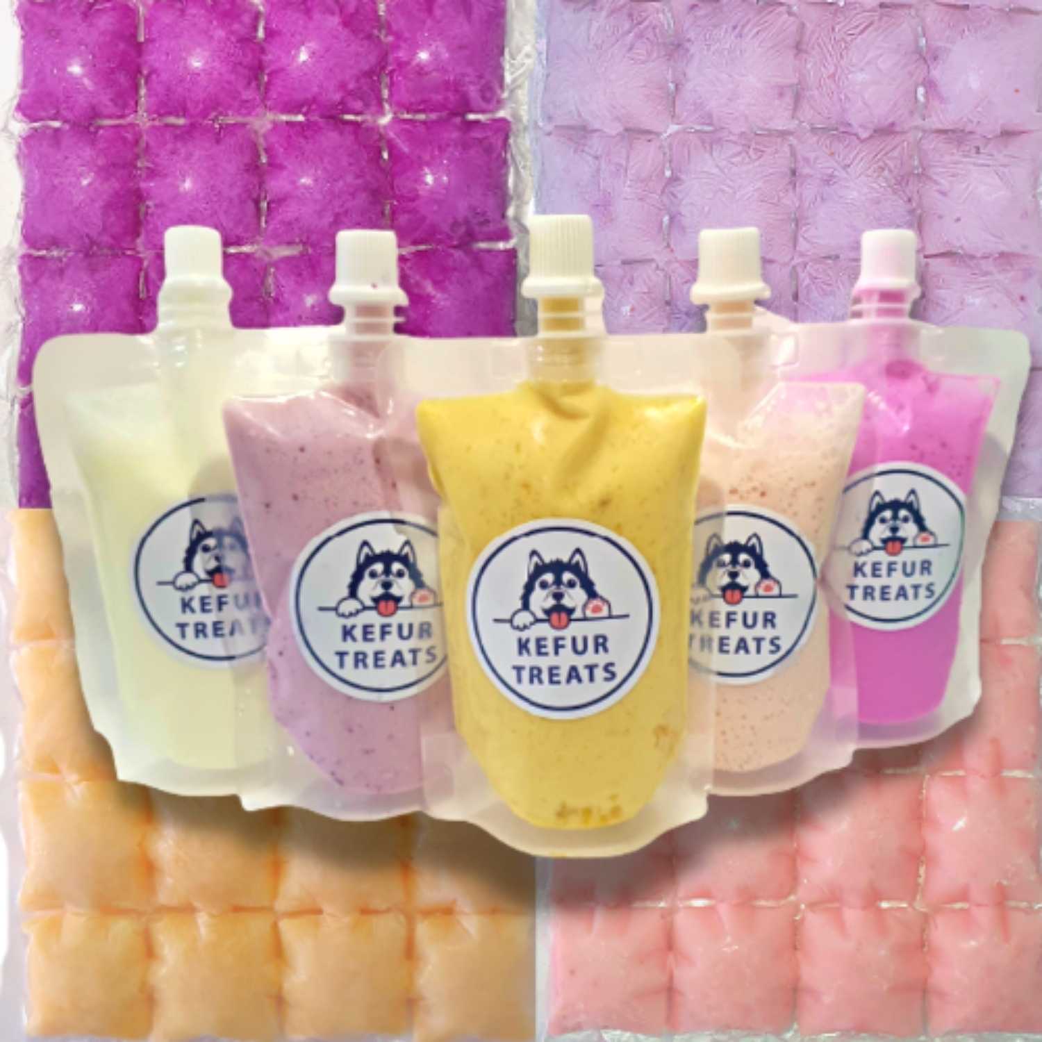 Milk Kefir Kefur Treats Liquid Pouch 250ml Frozen Pack 24 cubes Original Blueberry Pumpkin Strawberry Dragonfruit