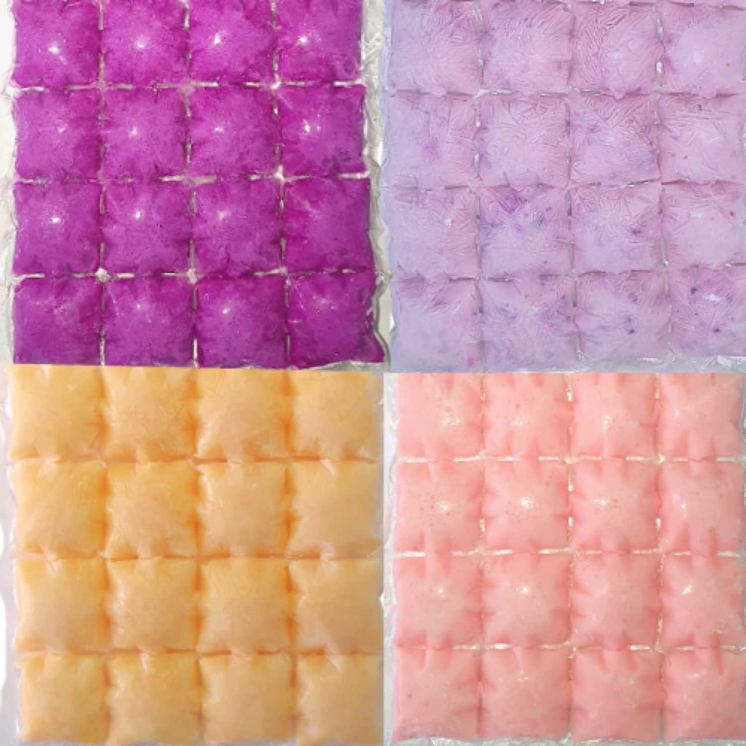 Milk Kefir Kefur Treats Frozen Pack 24 cubes Blueberry Pumpkin Strawberry Dragonfruit