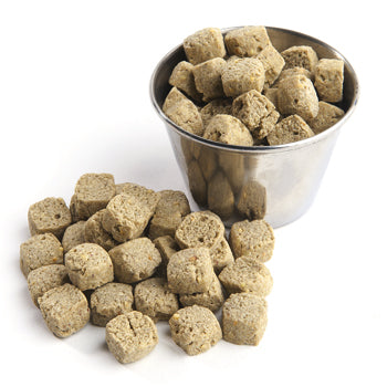 Harrison's Bird Foods - Power Treats with Organic Palm Fruit Oil (1lb)