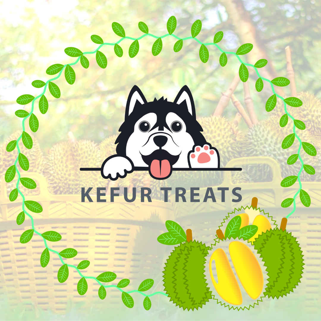 Kefur Treats - DURIAN Cow Milk Kefir Frozen Pack (24 Cubes) Treats for Dogs & Cats