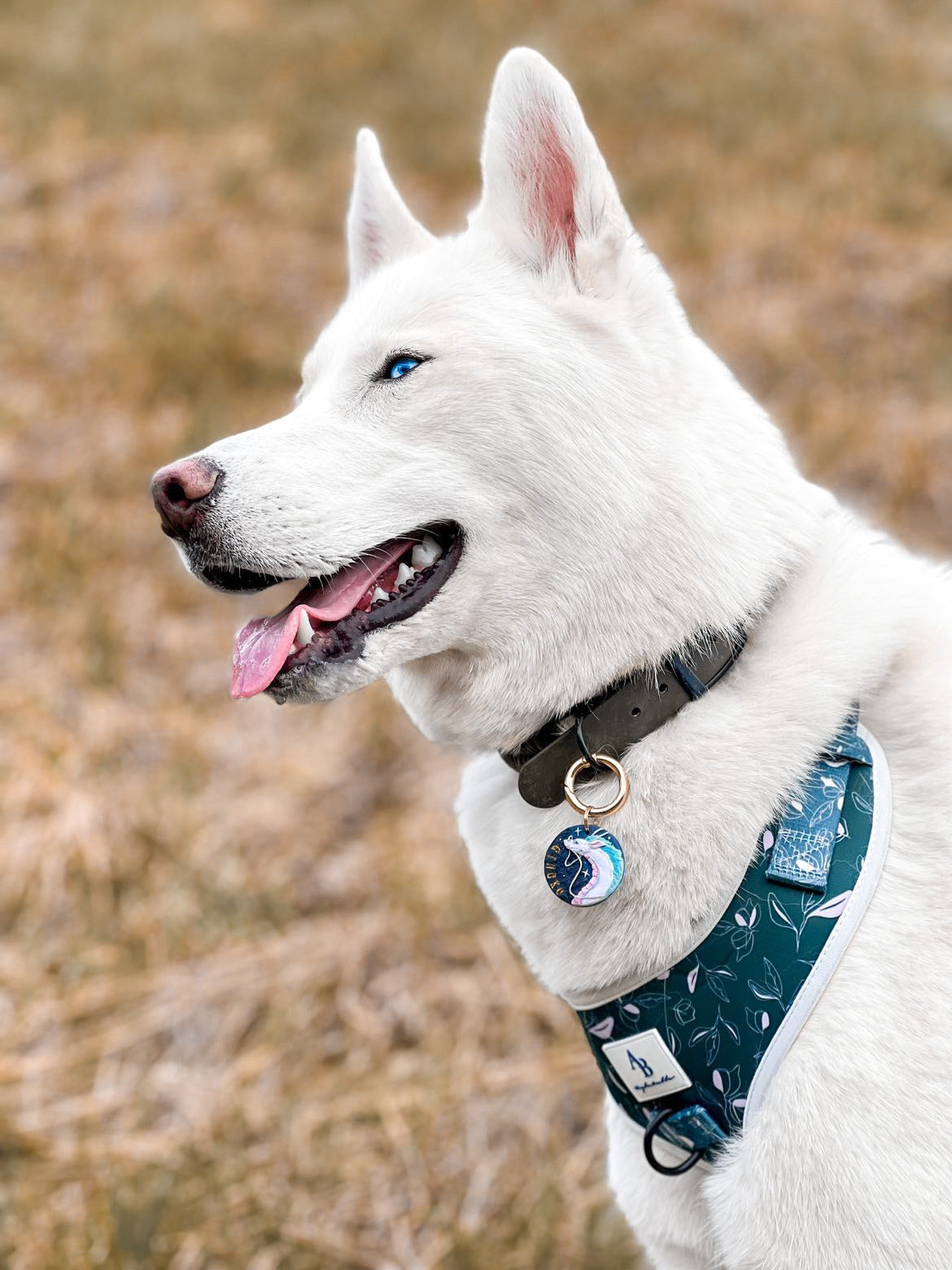 Aylabella Co. - Lush Green Harness for Dogs (5 Sizes)