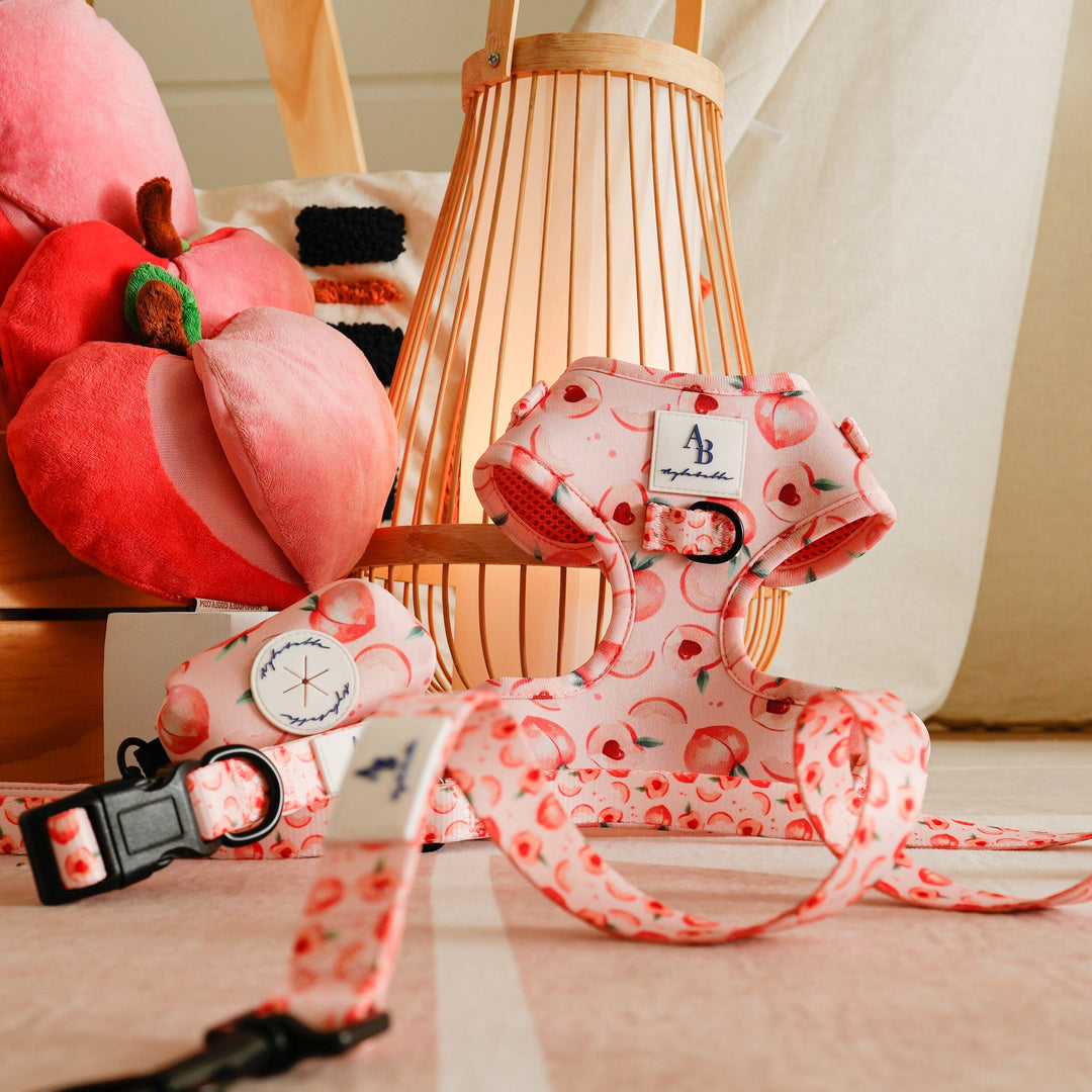 Aylabella Co. - Peach Leash for Dogs (3 Sizes/2 Length)