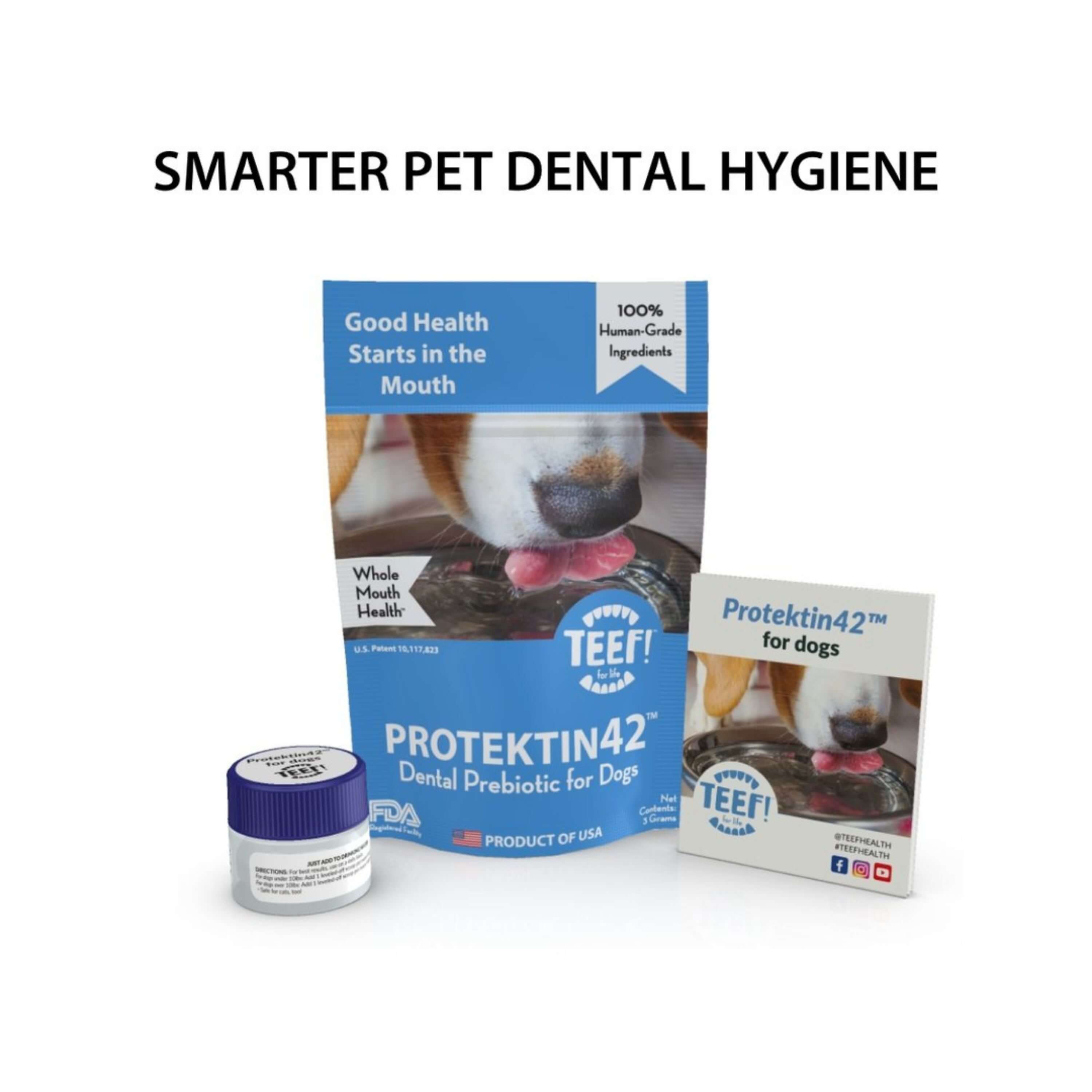 TEEF! - Protektin 42 K9 Formula-Drinkable Dental Health