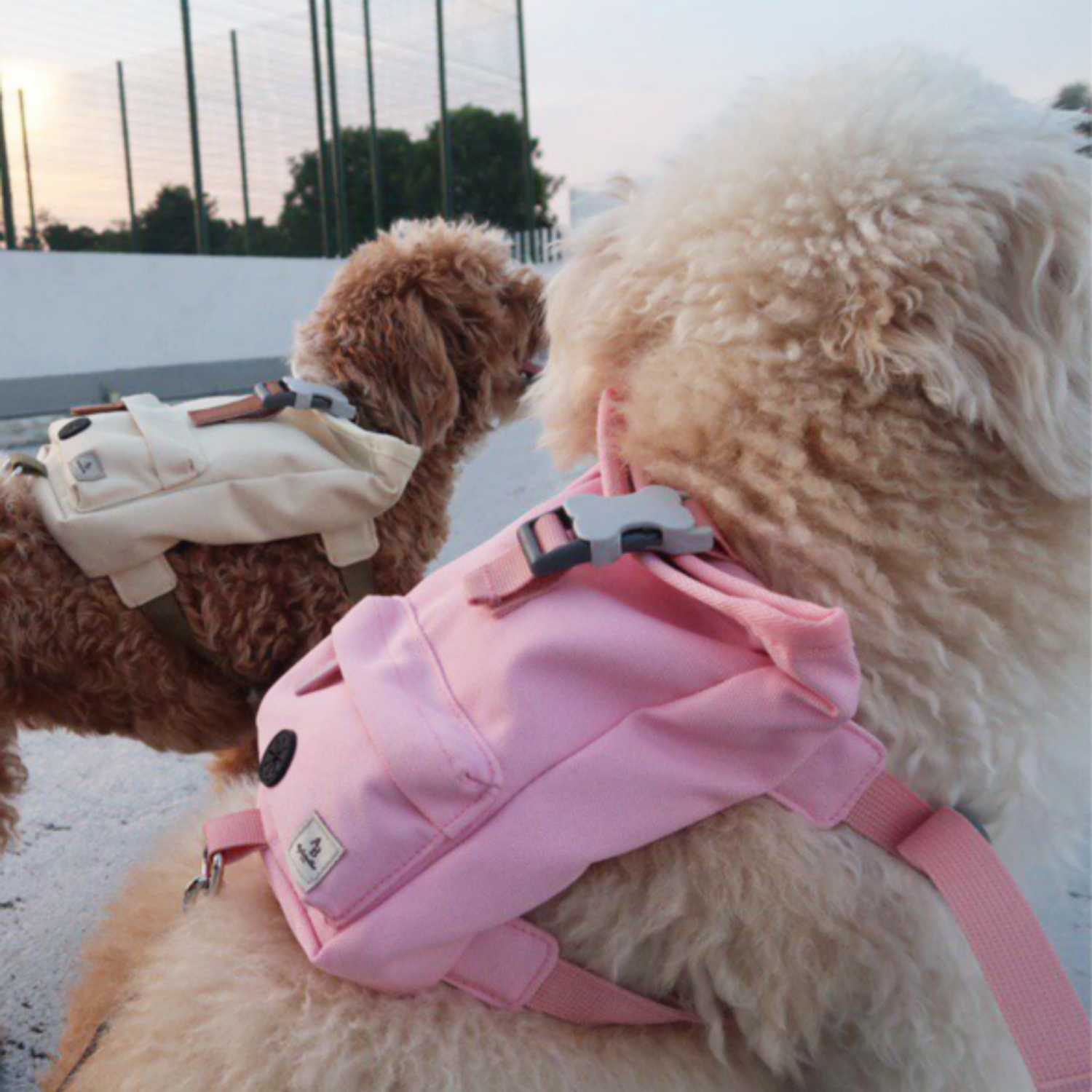 Aylabella Co. - Kylie Harness Backpack - Dog Accessories