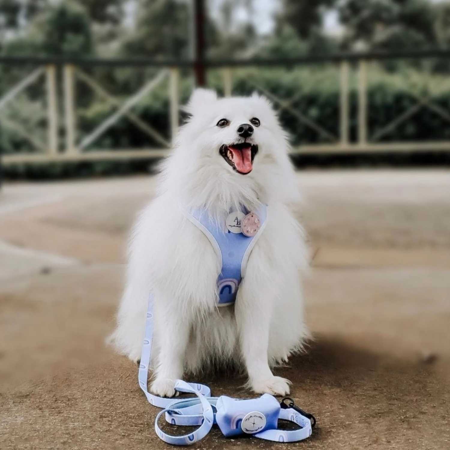 Aylabella Co. - Bella Cuddles Harness - Dog Accessories (5 Sizes)