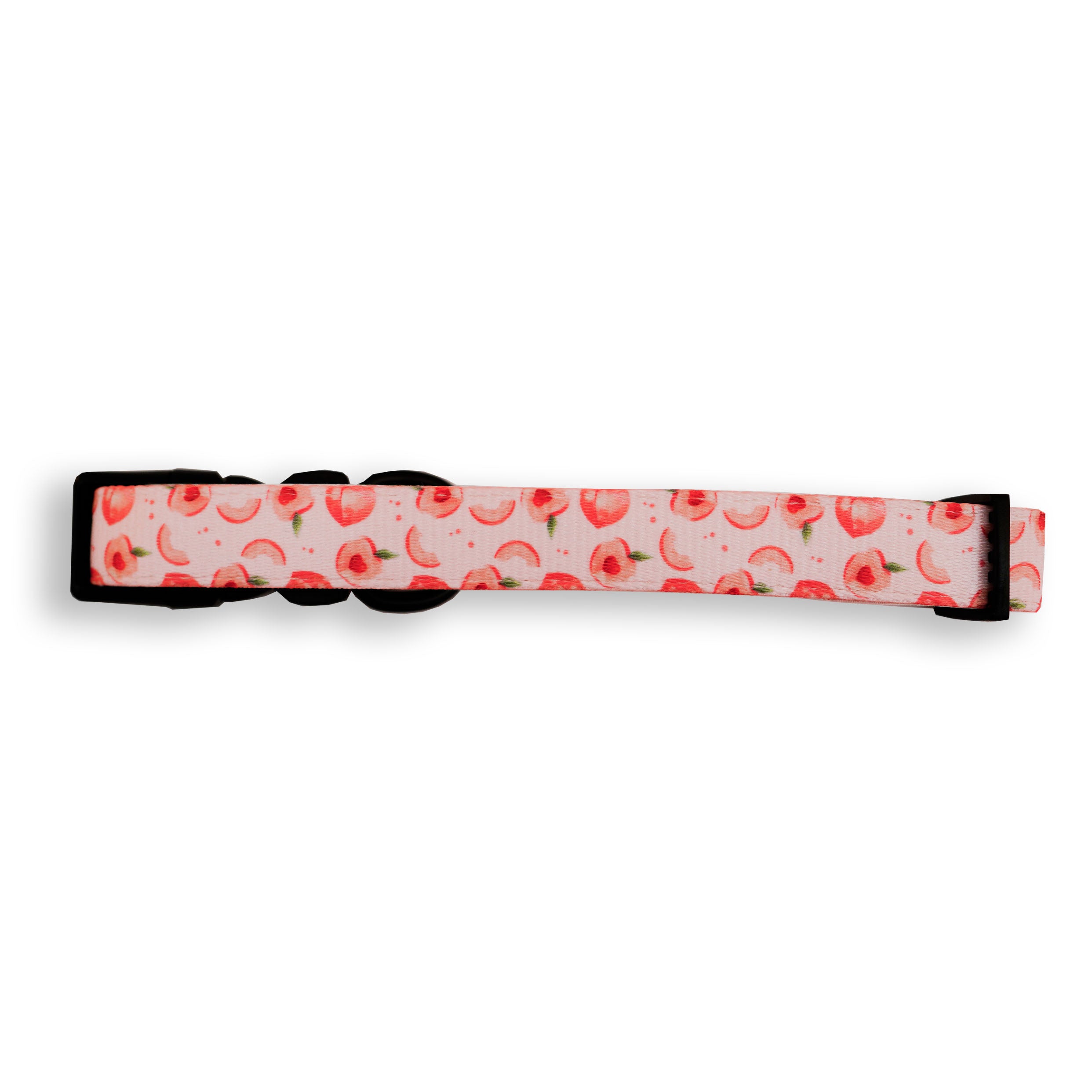 Aylabella Co. - Peach Collar for Dogs (4 Sizes)